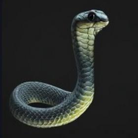 a magnificent snake