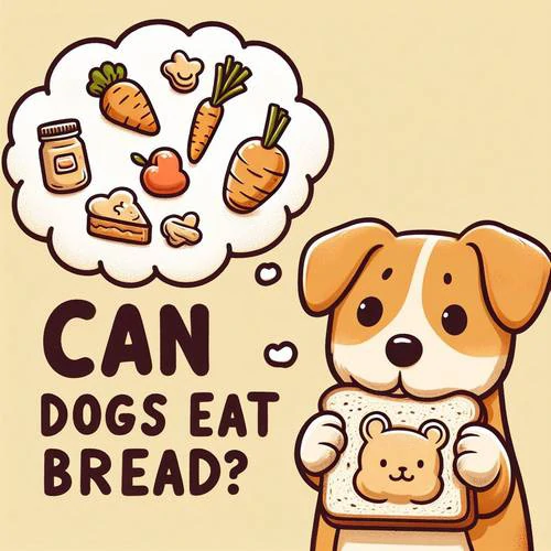 Is bread good for dogs hot sale