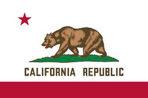 The flag of california