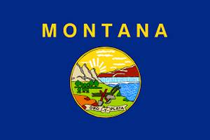 The flag of Montana