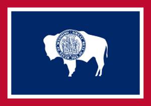 The flag of Wyoming
